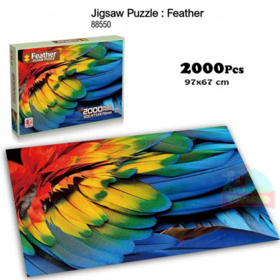 Jigsaw Puzzle : Feather-88550